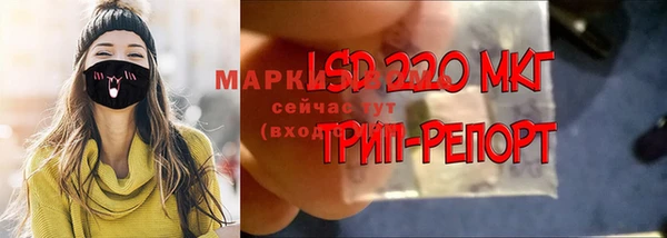 сатива Алексин