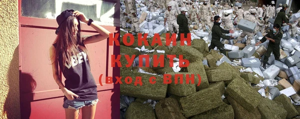 винт Абаза