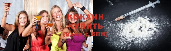 винт Абаза