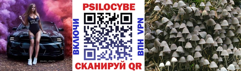 hydra зеркало  Княгинино  Псилоцибиновые грибы Psilocybine cubensis 